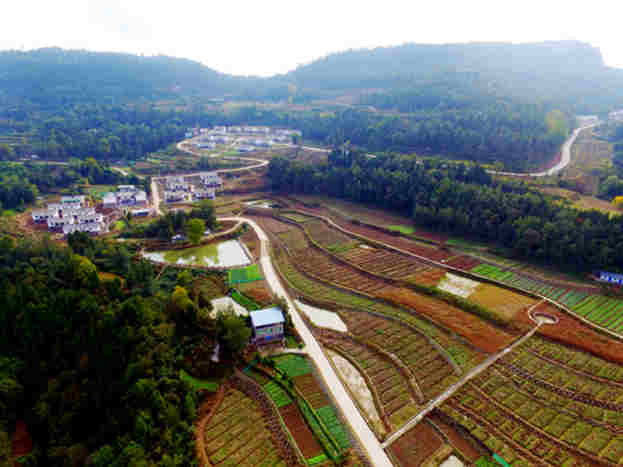 1664164383160992.jpg 222222_副本.jpg